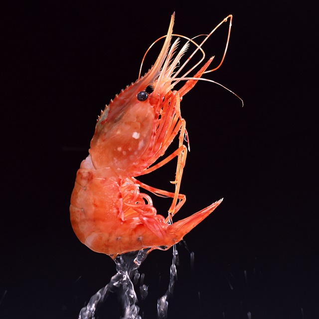 jump_botan-ebi